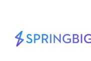 Springbig logo